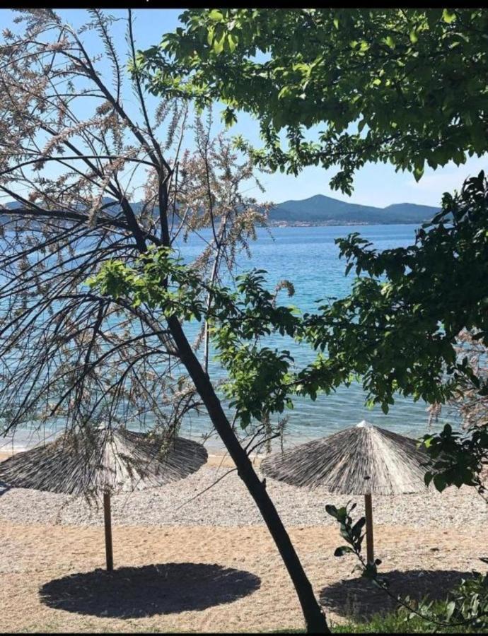 Luxury Majpruz Suites I Zadar Exteriör bild